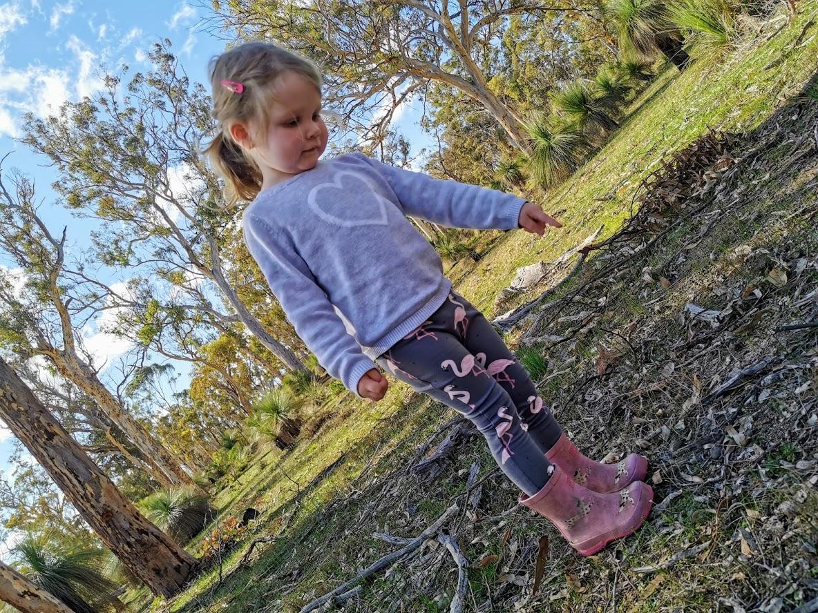 Frog & Molly Perth Makers Market